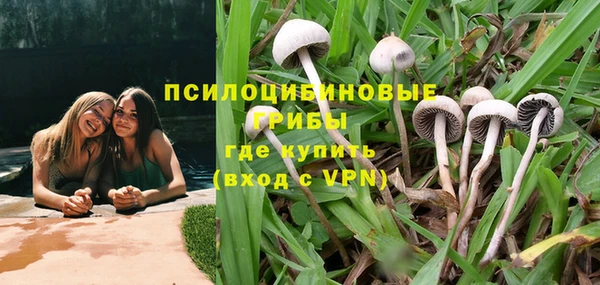 каннабис Аркадак