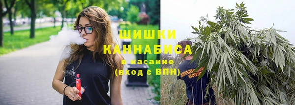 молекула духа Новокубанск