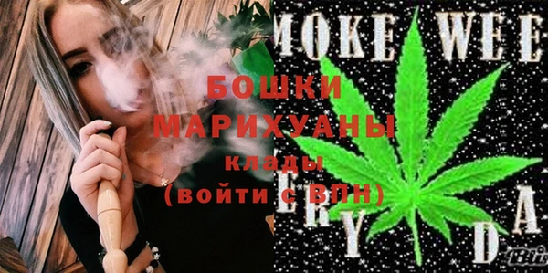 соль ск Новозыбков