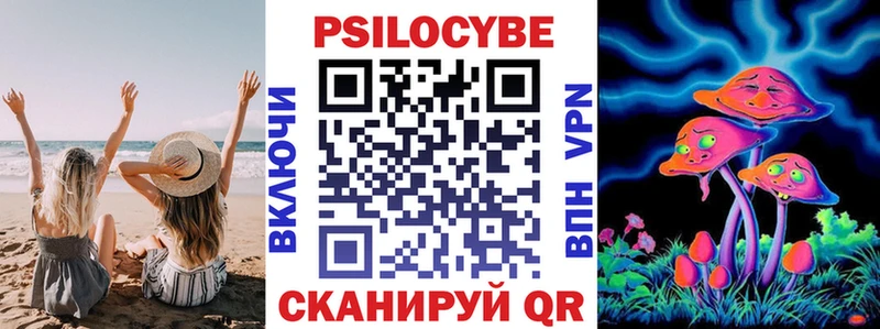 Псилоцибиновые грибы Psilocybine cubensis  купить  сайты  Чудово 
